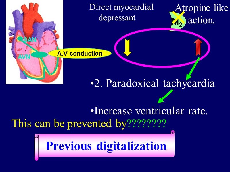 SAN AVN M2 Direct myocardial depressant   Atropine like action. 2. Paradoxical tachycardia